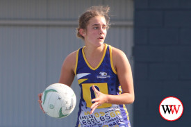 nw-open-netball-4.jpg