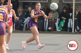 port-fairy-open-4.jpg