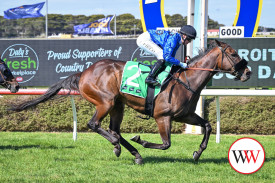 Brung King, ridden by Sarah Field, wins the Daly’s IGA Koroit Cup.