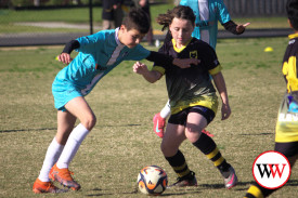 ranger-v-wolves-soccer-5.jpg