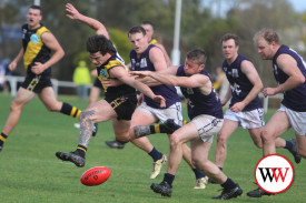 reserves-footy-merrivale-11.jpg