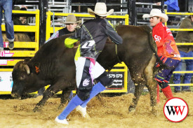 rodeo-16-1733962088.jpg