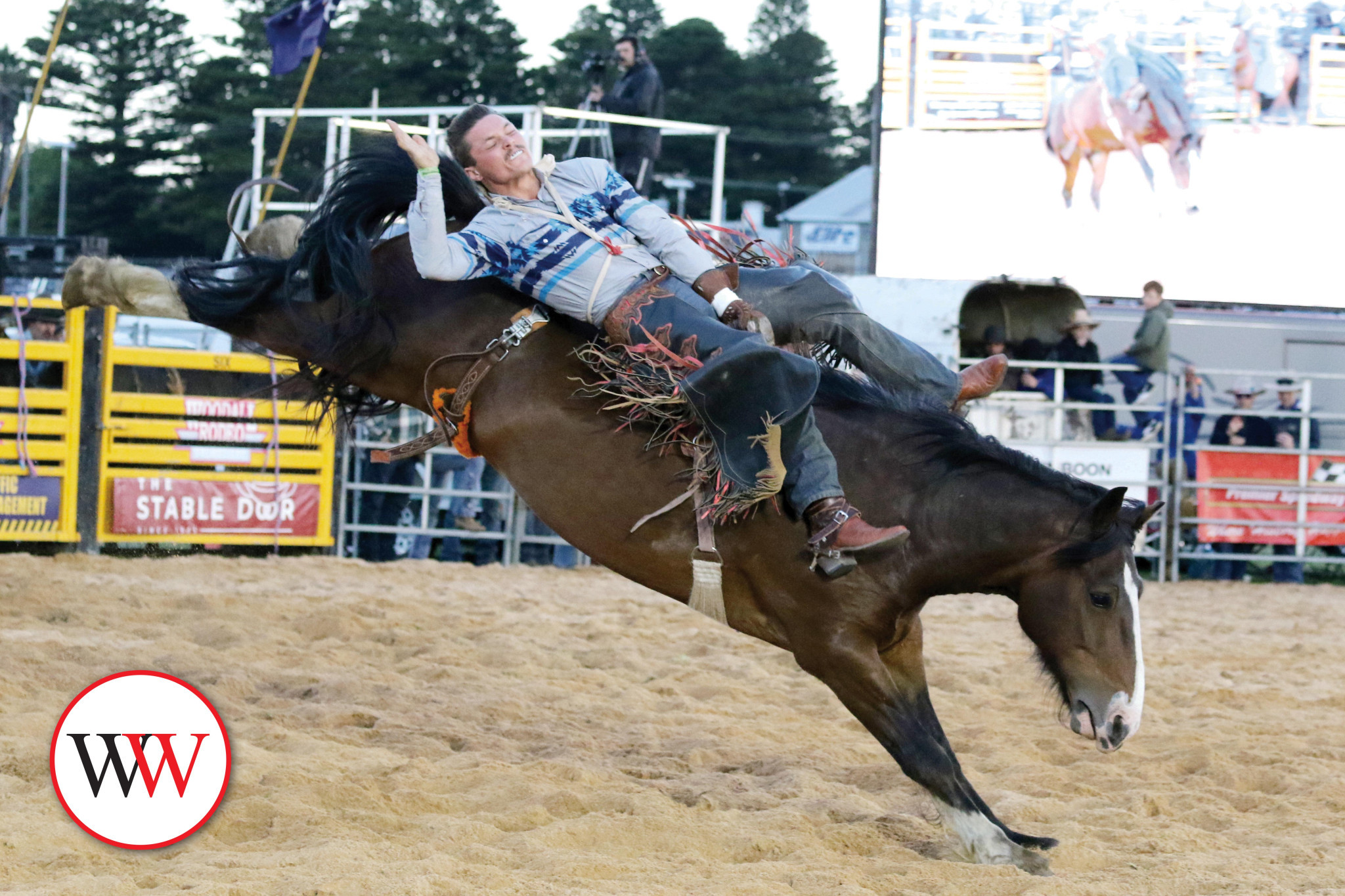 rodeo-2-1762993181.jpg