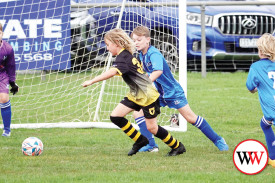 soccer-2-1746071621.jpg