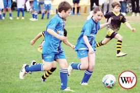soccer-5-1746071650.jpg