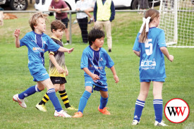 soccer-6-1746071664.jpg