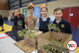 Evelyn Zhang, Lincoln Toogood, Stella Purcell and Matthew Hyatt added some greenery to their display.