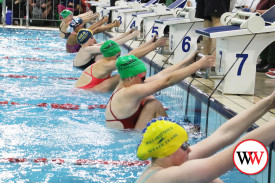 swim-carnival-1.jpg