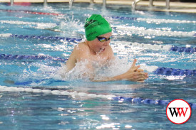 swim-carnival-2.jpg