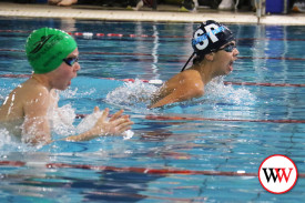 swim-carnival-3.jpg