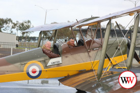 tiger-moth-2.jpg