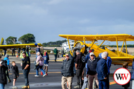 tiger-moth-4.jpg