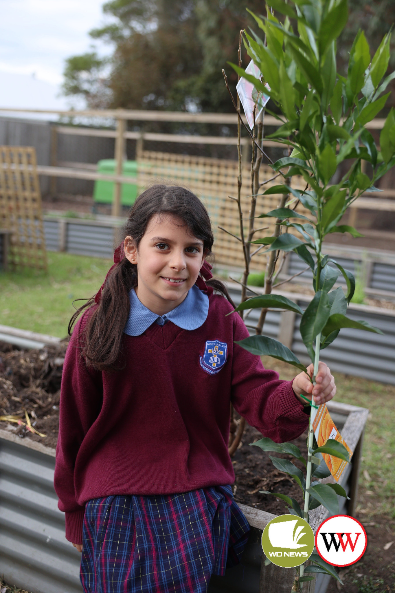 Seven-year-old Alena Topraz instigated the planting of several fruit trees in the grounds of Kings College, Warrnambool