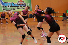 volleyball-1-1741832030.jpg