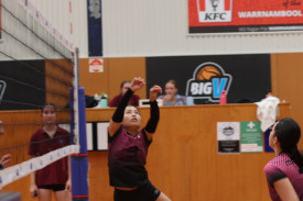 volleyball-2-1741832041.jpg