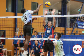 volleyball-5.jpg