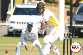 warrnambool-moyne-district-cricket-16.jpg