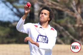 warrnambool-moyne-district-cricket-3.jpg