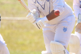 warrnambool-moyne-district-cricket-45.jpg