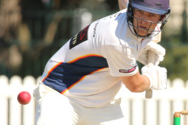 warrnambool-moyne-district-cricket-59.jpg