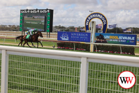 warrnambool-races-10.jpg