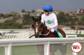 warrnambool-races-11.jpg
