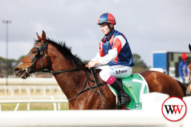 Carnamah makes his way back after race six.
