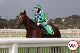 warrnambool-races-13.jpg