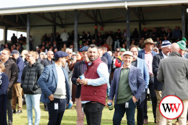warrnambool-races-7.jpg