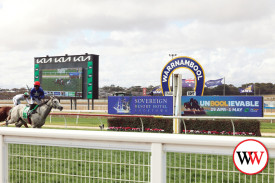 Jockey Tom Ryan celebrates as he approaches the finish line of race six.