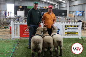 The Hampshire Down Group, Dillion Dawson and owner Kane Hildred.