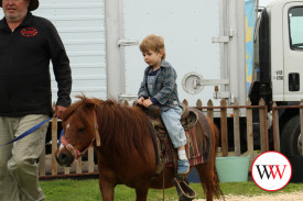Logan Shersicla concentrates during his pony ride.