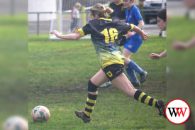 warrnambool-wolves-10.jpg