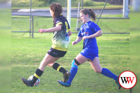 warrnambool-wolves-2.jpg