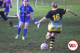 warrnambool-wolves-3.jpg