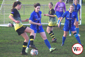warrnambool-wolves-5.jpg