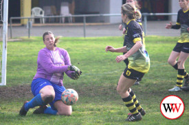warrnambool-wolves-8.jpg
