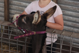 Ruby Lilley spent show day with ‘Wombat’ the donkey.