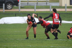 wdn_5695.jpg