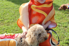 Twelve year-old Zoe Pope of Winslow and her dog ‘Olive’ were happy to sit in the crowd and watch the races.