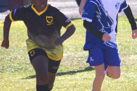 wolves-soccer-2.jpg