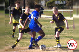 wolves-soccer-5.jpg