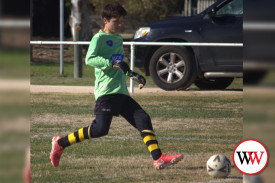 wolves-soccer-8.jpg