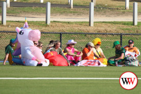 womans-cricket-grand-final-warrnambool-v-nestles-12.jpg