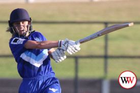 womans-cricket-grand-final-warrnambool-v-nestles-26.jpg