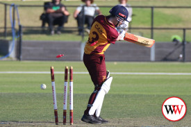 womans-cricket-grand-final-warrnambool-v-nestles-42.jpg