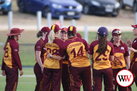 womans-cricket-grand-final-warrnambool-v-nestles-61.jpg