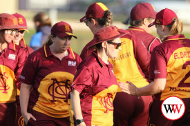 womans-cricket-grand-final-warrnambool-v-nestles-66.jpg