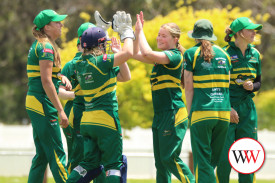 womens-cricket—-allansford-panmure-v-cobden-9.jpg