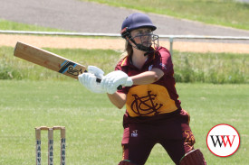 womens-cricket—-russells-creek-v-nestles-1.jpg
